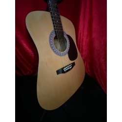 Burswood Full-Size Dreadnought Acoustic Guitar with Hard Case