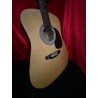 Burswood Full-Size Dreadnought Acoustic Guitar with Hard Case