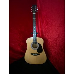 Burswood Full-Size Dreadnought Acoustic Guitar with Hard Case