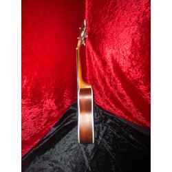 Lanikai LU-21 Soprano Ukulele with Gig Bag - Excellent Condition