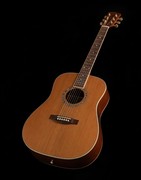 Guitars