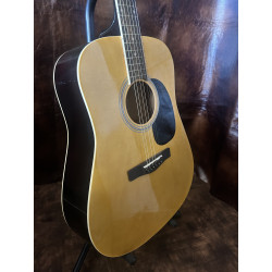Rogue Acoustic Guitar w/ Black Bag