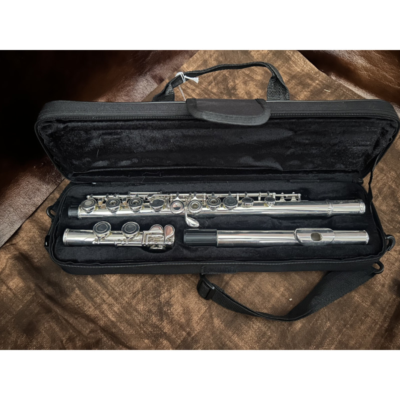 PogoLab Silver Tone Flute w/ Case