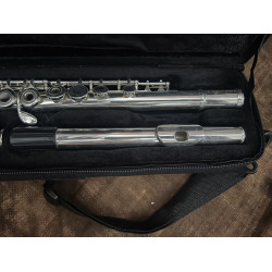 PogoLab Silver Tone Flute w/ Case