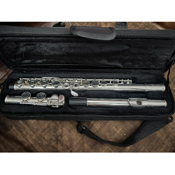 PogoLab Silver Tone Flute w/ Case