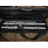 PogoLab Silver Tone Flute w/ Case