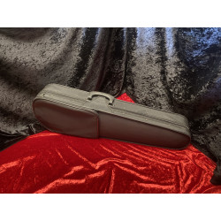 Rosetti 4/4 Student Violin with Bow and Case