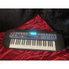 Casio CTK-431 Midi Electric Keyboard Piano