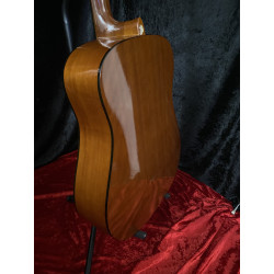 Avila Acoustic Guitar - Steel String