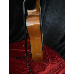 Avila Acoustic Guitar - Steel String