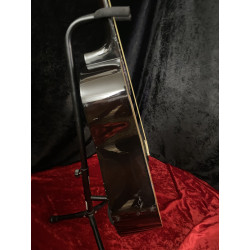 Fender Starcaster Acoustic Guitar - Steel String