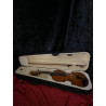Rosetti 4/4 Student Violin with Case