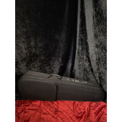 Student 4/4 Student Violin with Case